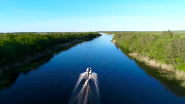 Clear water lake and green forest. Onega lake in Russia. Onejskoe ozero. Aerial drone aero. — Stock Video
