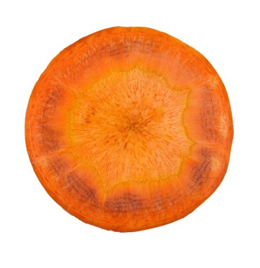 Beyaz adam izole havuç closeup dikey kesim