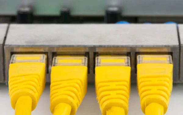 Closeup Utp Yellow Connectors Routers Ports White Background — Stock Photo, Image