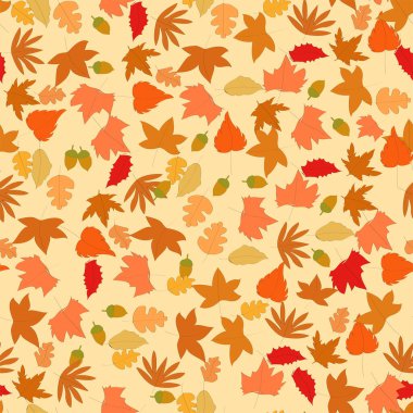 Kahverengi ilkbahar akçaağaç izni