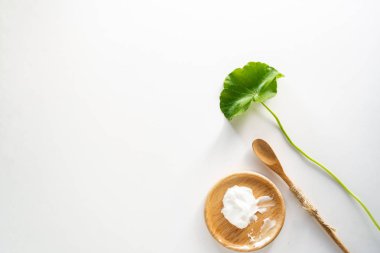 Alternatif tıp konsepti. Yerel bitkisel ilaç. Yaprak Herb kola.