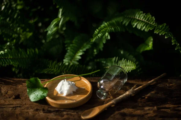 Gotu kola 'nın doğal organik botaniği, alternatif bitki ilaçları, doğal cilt bakımı güzelliği, bitkisel bakım konsepti..