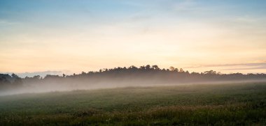 Tayland 'daki sonbahar dağ manzarası, mevsim değişimi konsepti