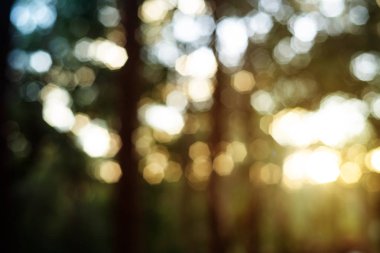 Ormandan gelen soyut bulanık arkaplan yeşil bokeh