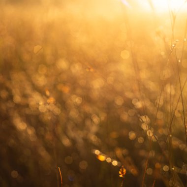 Arka planda turuncu bokeh. Sonbahar arka plan kavramı