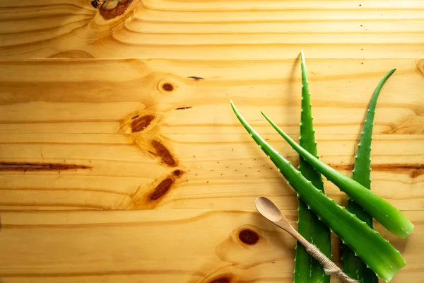 Ahşap bir arka planda üst görünüm Aloe vera