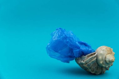 Okyanus konseptinde plastik kirliliği. Deniz kabuğunda taşıyıcı çantalar. Kötü ekoloji kavramında kabuklu deniz hayvanları.