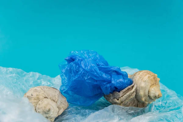 Okyanus konseptinde plastik kirliliği. Deniz kabuğunda taşıyıcı çantalar. Kötü ekoloji kavramında kabuklu deniz hayvanları.
