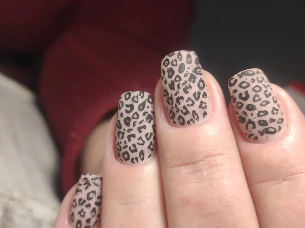 Closeup photo of a beautiful female hands with elegant manicure — Stock Photo, Image