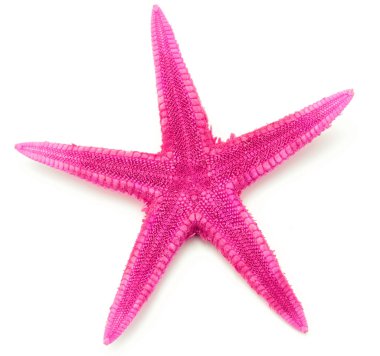 Pembe renkli deniz kıyısı