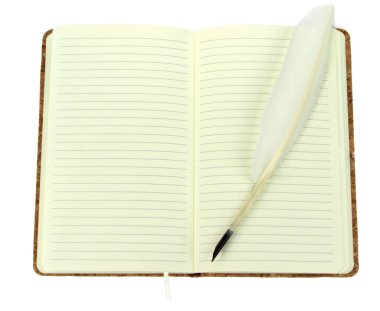 Açık not defteri üzerinde tüy kalem.