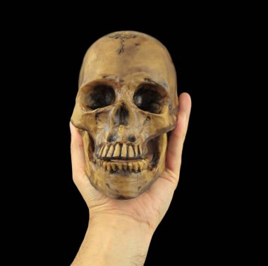 İnsan kafatası elinde tutuyor. Kavramsal görüntü. (Shakespeare)