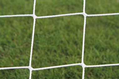 Futbol gol yeşil çimenlerin üzerinde net