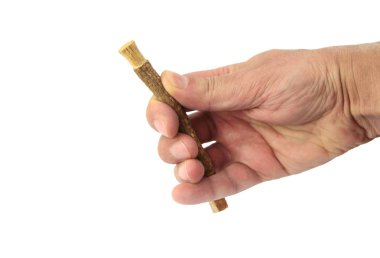 Eski İslam geleneksel doğal diş fırçası Misvak veya Siwak.