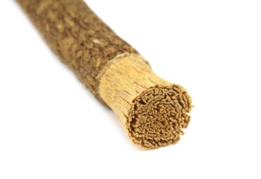 Eski İslam geleneksel doğal diş fırçası Misvak veya Siwak.