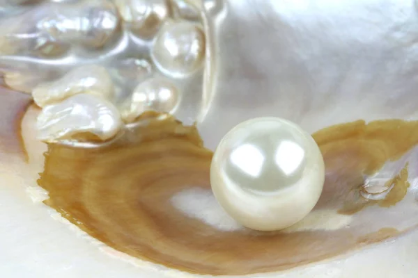Masy perłowej — Zdjęcie stockowe