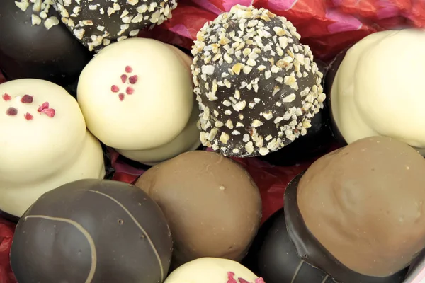 Polsini crema ricoperti di cioccolato — Foto Stock