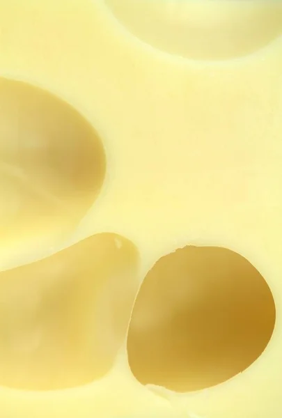Textura de queso fondo . — Foto de Stock