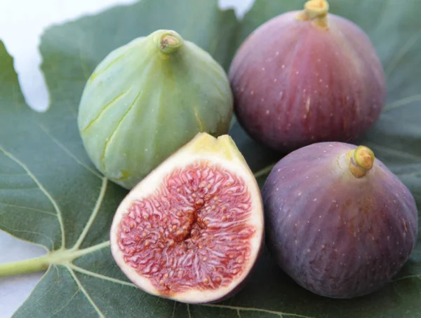 Delicious figs on a fig leaf. — Stock Photo, Image
