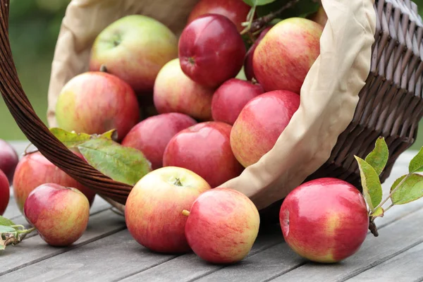 Rote Bio-Äpfel — Stockfoto