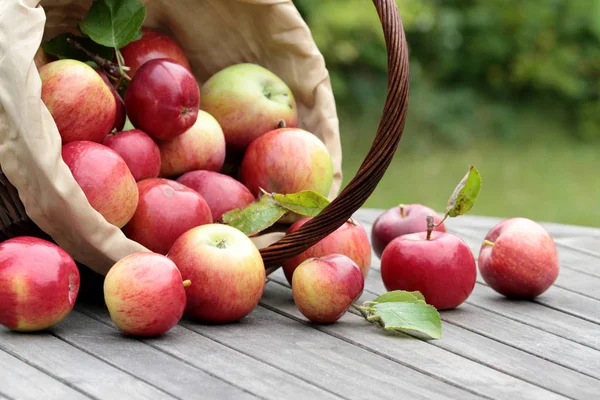 Rote Bio-Äpfel — Stockfoto