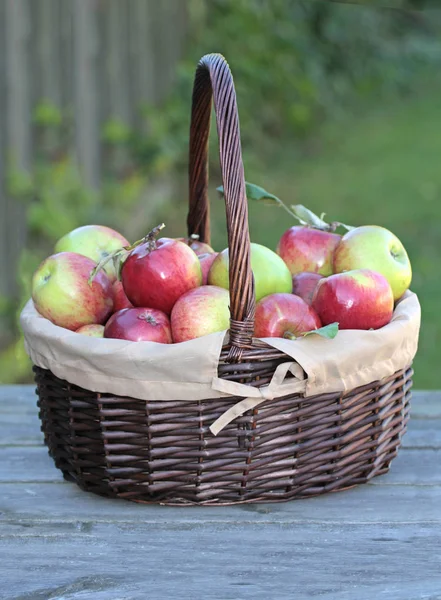 Rote Bio-Äpfel — Stockfoto