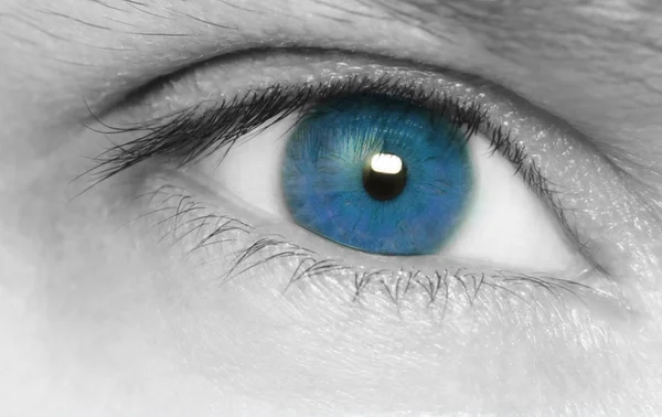 Hermoso ojo azul — Foto de Stock