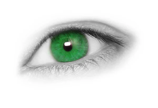 Bellissimo occhio verde — Foto Stock