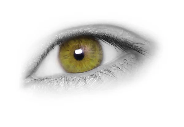Belo olho de avelã — Fotografia de Stock