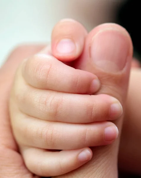 El bebé sostiene el dedo de su madre — Foto de Stock