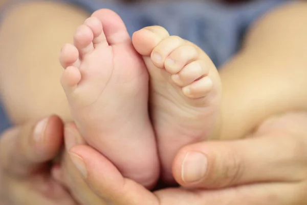 Baby feet in hands — Stock Photo, Image