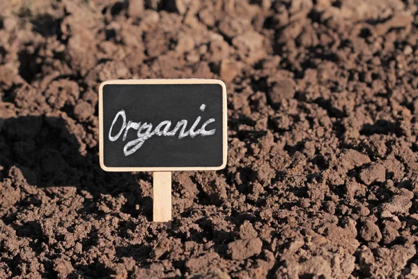 Organik ve doğal tarım — Stok fotoğraf