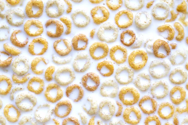 Wheat, rice and corn rings in milk for breakfast — Stock Photo, Image