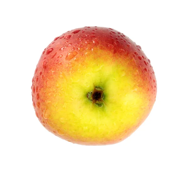 Manzana orgánica fresca con gotas de agua —  Fotos de Stock