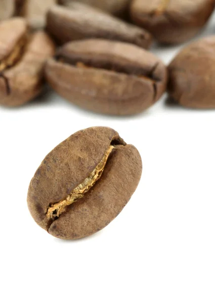Organic Coffee beans — Stock Photo, Image