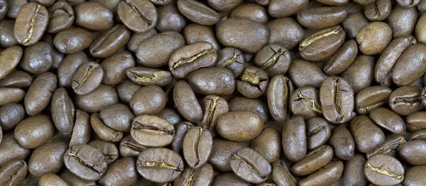 Organik kahve çekirdekleri — Stok fotoğraf