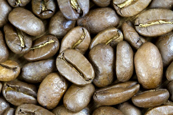 Biologische koffie bonen — Stockfoto