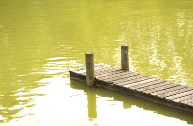 Güzel yeşil göl ve İskele