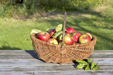 Taze organik kırmızı elmalar sepette
