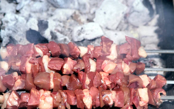 Barbecue. Shish kebab,on hot grill — Stock Photo, Image