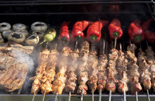 Barbecue. Shish kebab, steak, with grilled peppers and mushroom — Stock Photo, Image