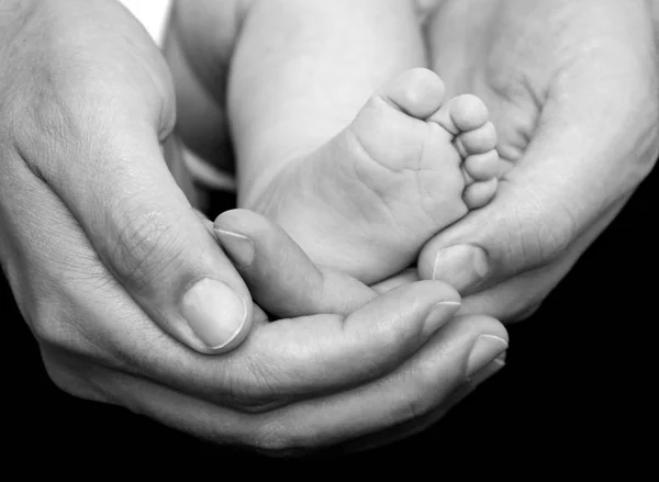 Baby feet in hands — Stock Photo, Image