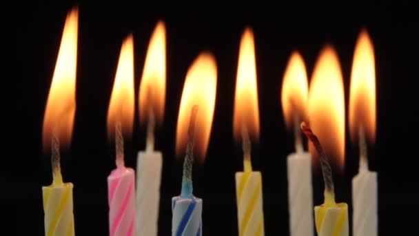 Birthday cake candles. — Stock Video