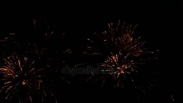 Esplosioni di fuochi d'artificio video con suono — Video Stock