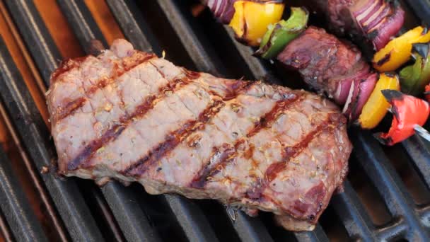 Barbecue. Grilled steak and shish kebab, on hot grill — Stock Video