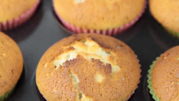 Chutné a lahodné muffiny — Stock video