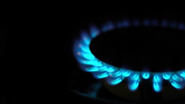 Natural gas blue flames — Stock Video