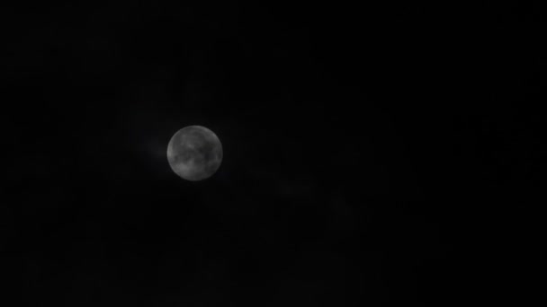 Luna llena en tiempo real y nubes que fluyen — Vídeos de Stock