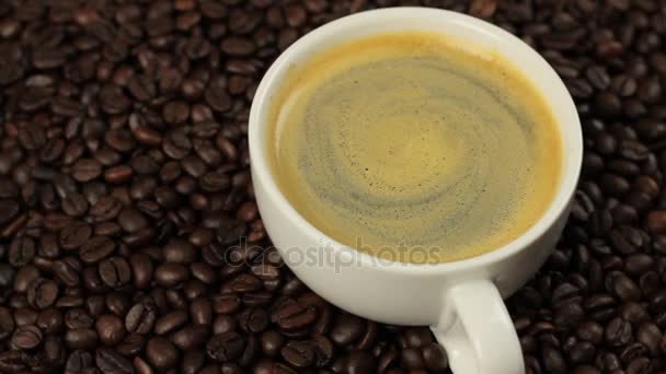 Caffè sui chicchi di caffè — Video Stock