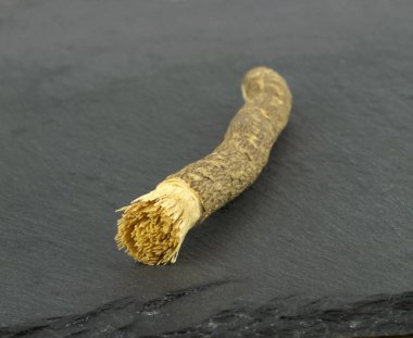 Eski İslam geleneksel doğal diş fırçası Misvak veya Siwak. 
